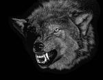 Grey Wolf's Avatar